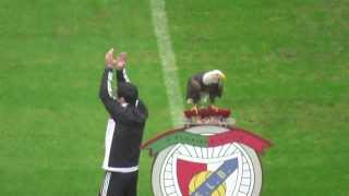Benfica Eagle Flying Before the Game HD