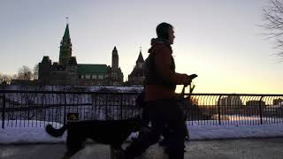 Winter Wonderland: A Time-Lapse Journey through Ottawa's Snowy Season