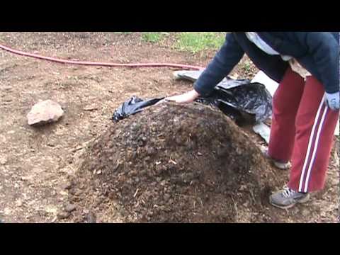 How to Compost Manure in Thirty Days How to Compost Manure in Thirty Days