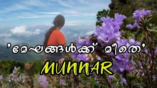 MUNNAR TRIP  FROM THRISSUR | Neelakkurinji | Kallippaara | Idukki