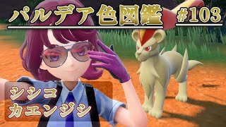 【パルデア色図鑑】全ポケモンを色違いにする旅 / シシコ・カエンジシ編【ポケモンSV】