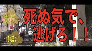 金ケ崎城～どうする家康。