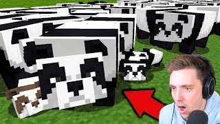I bred a PANDA ARMY in Minecraft