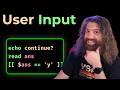 User Input (taking user input in a script) - Bash Scripting Course (pt13)