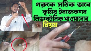 গরুর কৃমির ঔষধ খাওয়ানোর নিয়ম || গরুর কৃমির ইনজেকশন দেওয়ার নিয়ম || গরুর কৃমির ঔষধ || কৃষি প্লাস