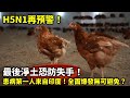 20241004I H5N1再預警！最後淨土恐防失手！患病第一人來自印度！全面爆發無可避免？