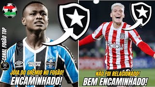 BOTAFOGO ENCAMINHA AS CONTRATAÇÕES DE ROLLHEISER E NATHAN FERNANDES | MERCADO AGITADO DO FOGÃO! ⚽🔥💰