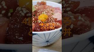 ここのは本当に美味しい✨【三崎のまぐろ】一番人気とろとろ丼#マグロ#美味しい店