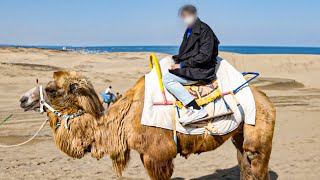 Japanese desert [Tottori Sand Dunes, Yokai Street]