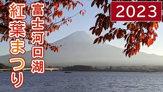 【ぼっち旅番外編①】 2023『富士河口湖紅葉まつり』もみじ回廊 山梨県 河口湖 富士山 雪化粧  お腹激弱ピーコさんのゆる旅 観光 ２泊３日 山梨＆静岡 ぶらり旅