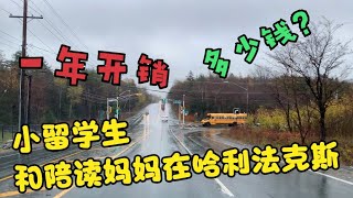 算账啦！在哈法留学的小留学生和陪读妈妈一年开支了多少钱？