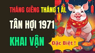 Tuổi Tân Hợi 1971. Tử vi Khai Vận số đặc biệt Chào Xuân Ất Tỵ 2025. Vận Trình Tử Vi Tháng 1 âm lịch