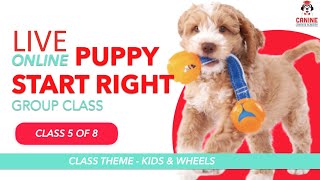 Canine Learning Academy Live Puppy Start Right Online Group Class | Wheels and Children