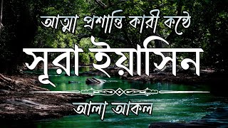 (আবেগময় কন্ঠে প্রতিদিন সকালে শুনুন) সূরা ইয়াসিন। Surah Yaseen recitation by alaa aqel