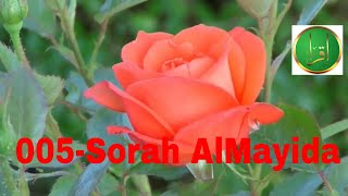 005-Sorah AlMayida Quran recitation - new | beautiful Quran recitation | | Listen Quran Online
