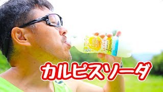 「カルピスソーダ」スイートレモンを飲む マック堺