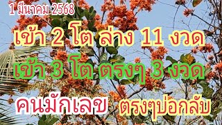 #คนมักเลข เข้า 2 โตล่าง 11 งวด...เข้า 3 โตตรง 3 งวด งวดก่อนเข้า \