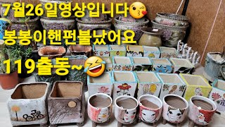 7월26일 봉봉이네화분#공방분#수제분#저렴한아이들구경오세요~😋5만이상택배무료