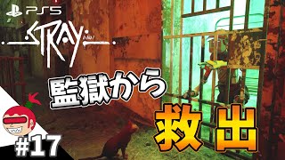 【ジェイルから救出】Stray #17【ジュリアス】