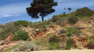 Canadian beach ⛱️ Victoria Australia 🇦🇺 | December 21, 2024