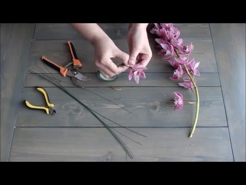 How to Wire a Cymbidium Orchid How to Wire a Cymbidium Orchid