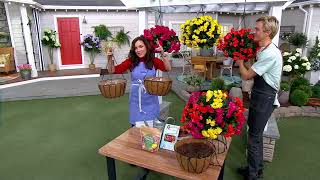 Roberta's 4-piece Jumbo Begonia Bulbs with Hanging Baskets on QVC