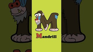 Animals that start with M - Manatee, Mandrill, Monkey, Moose, Mouse, Mule #Shorts