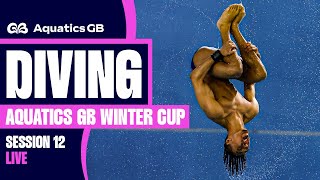 Aquatics GB Diving Winter Cup | Men's Platform Final