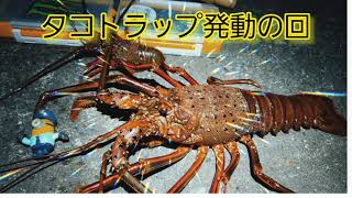 伊勢海老釣り界の革命児『タコトラップの回』🐙🐯