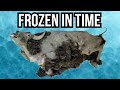 8 Prehistoric Animals That Have Been Found Trapped In Ice