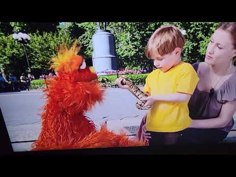 Sesame Street Murray Letter B + Number 1 - YouTube