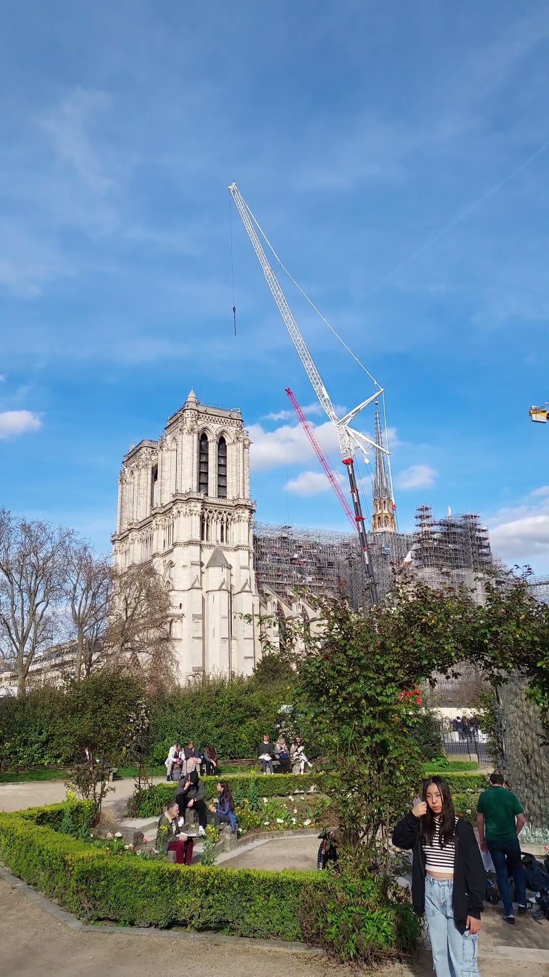 Rising From Ashes: Notre Dame Cathedral Reborn - YouTube