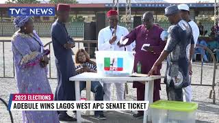 2023 Election: Adebule Wins Lagos West APC Senate Ticket