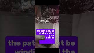 Every Small Victory Has Its Purpose