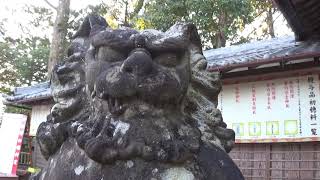 30秒の心象風景15255・精悍な造形～柏原八幡神社狛犬～