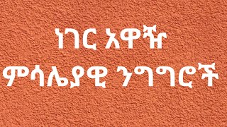 ነገር አዋዥ ምሳሌያዊ ንግግሮች 🤔😂