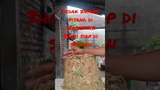 hasil fermentasi buat pakan entok