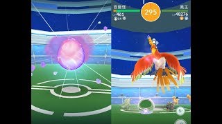 【Pokemon GO】見證傳說寶可夢鳳王孵化 / 百變怪 VS 鳳王!