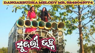 SUNDARI JANHA !TRENDING SONG SAMBALPURI !DANGARBUDHA MELODY !!dulduli!!Ramsingha mb, 8249043774