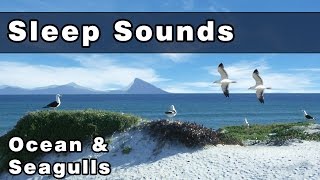 Soothing OCEAN WAVES & SEAGULLS Sleep Sounds: Sea Gull Sounds, Sounds of The Ocean, 12 Hours