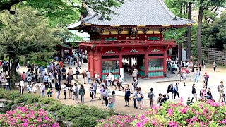 Watching the spring flowers at Tokyo 2016/ 春花 東京めぐり②