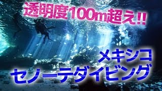 透明度100m越え！メキシコ セノーテでダイビング！