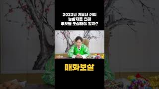 2023년에 눌삼재인 쥐띠운세｜구설수와 망신수를 특히 주의할 것!! #shorts