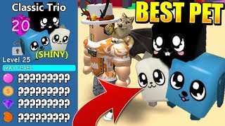 Rarest Shiny Pet Videos 9tube Tv - rarest shiny classic trio pet in bubble gum simulator roblox