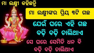 ମା ଲକ୍ଷ୍ମୀଙ୍କର ପ୍ରିୟ ଏହି ୩ଟି ଗଛ //maa laxmi//ajira anuchinta