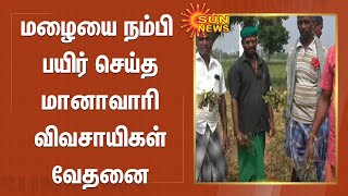 மழையை நம்பி பயிர் செய்த மானாவாரி விவசாயிகள் வேதனை | Sankarankoil | Farmers | SunNews