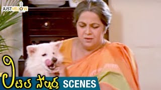 Rohini Hattangadi Playing with Dogs | Little Soldiers Telugu Movie Scenes | Baladitya | Brahmanandam