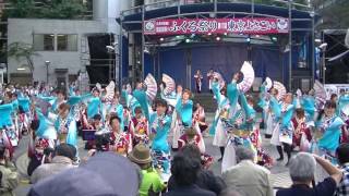 【公式】 鳳遙恋2016『CANVAS』 東京よさこい1日目／西口公園会場