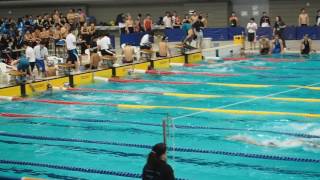 2017 フィンスイミング日本選手権　男子4*100M SFリレー