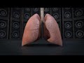 What Your Lungs Sound Like | WebMD